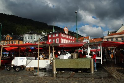 DSC_7372.JPG