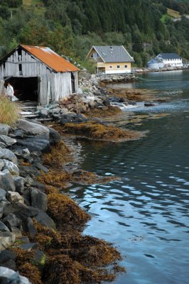 DSC_7405.JPG