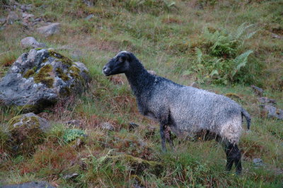 DSC_7422.JPG