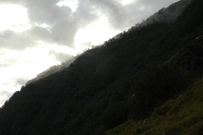 DSC_7431.JPG