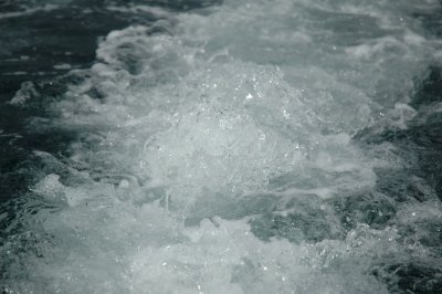 DSC_7510.JPG