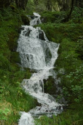 DSC_7602.JPG