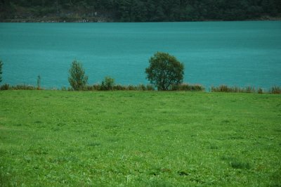 DSC_7665.JPG