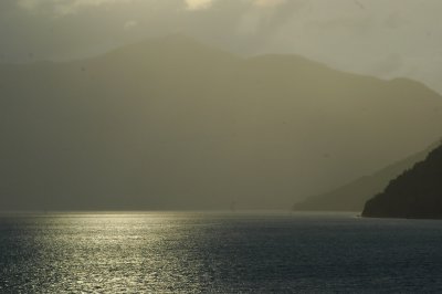 DSC_7730.JPG