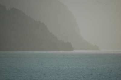 DSC_7732.JPG