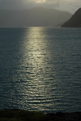 DSC_7735.JPG