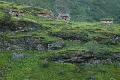 DSC_7761.JPG
