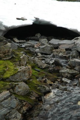 DSC_7777.JPG