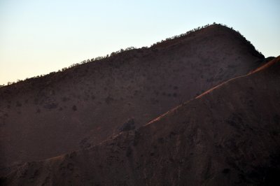 g1/87/638287/3/130668734.O1sdNInP.jpg