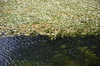 g1/87/638287/3/130668863.Cct3ruK6.jpg