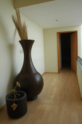 Mexico OscarYrigoyenHouse 056.JPG