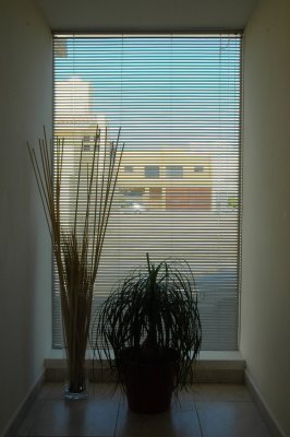 Mexico OscarYrigoyenHouse 121.JPG