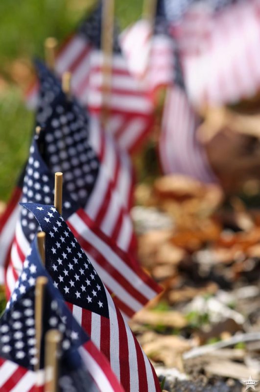 Circle of Flags