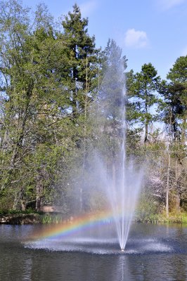 Van Dusen Gardens