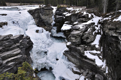 Athabasca Falls