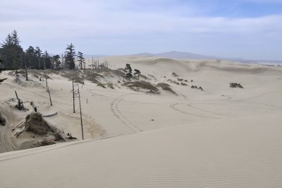Dunes of Oregon