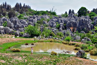 Stone Forest, Yunnan Province