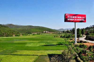 Rice fields in Yunnan