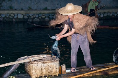 Cormorant fishing, Guilin
