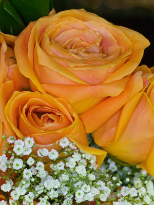 floralmacro