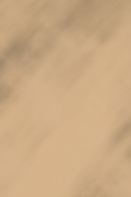 Untitled-17.jpg