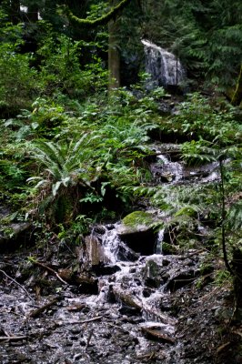 Downstream of Bridal Falls