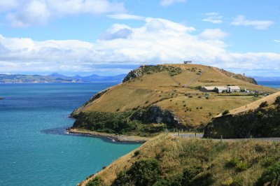 otago peninsula