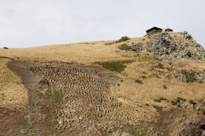 Royal Albatross Centre