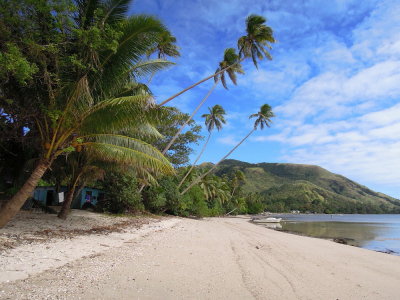 Kadavu - the beach just outside the airport