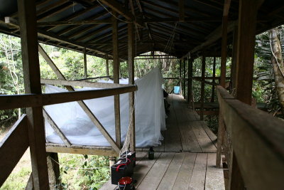Tapir Hide (Manu Wildlife Centre)