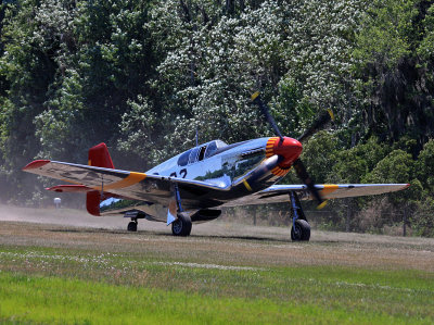 P51C