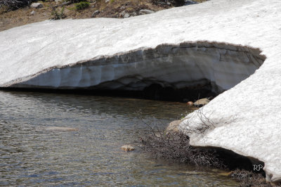 Never melting snow