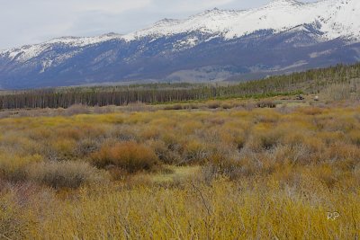 Arapahoe NWR