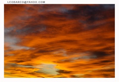 2008_11_18_19_08_03_NIKON D300_18739.jpg