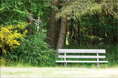 Lonesome Bench