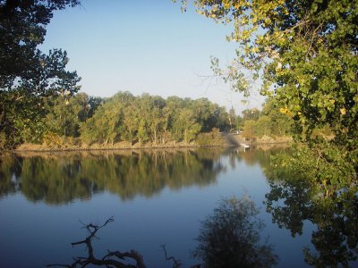 Morning reflections, Sacramento River. 20080928_TOSRD_051.jpg
