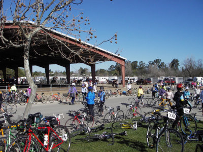 First Check Point, Robertson Park. 20090404_Cinderella_024.jpg