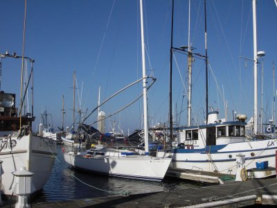 Nancy at dock 20090628_HMBrace_131.jpg