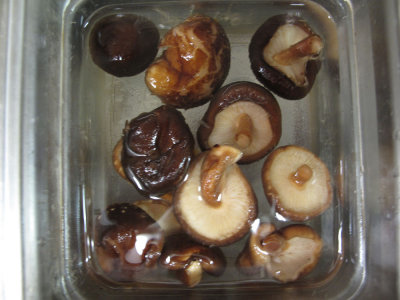 20090620_JaiYun_143.jpg