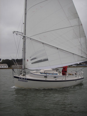 Blueberry - 044.jpg