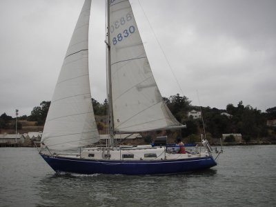 Chelonia - 056.jpg