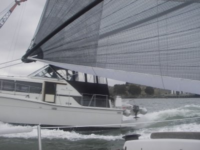 Cruiser through the finishing fleet - 113.jpg