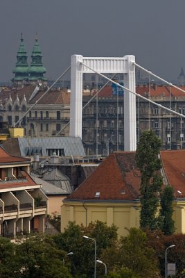 view on the elisabeth bridge and pest side