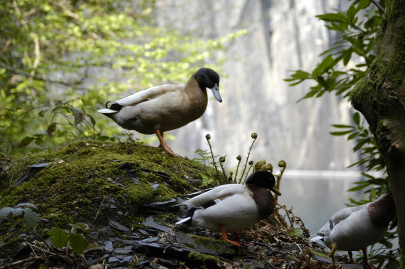 DSC_1848.jpg