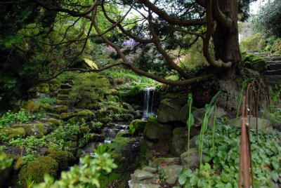 Bodnant garden north Wales