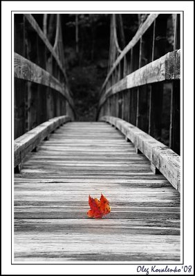 My best of 2008: Landscapes and Nature