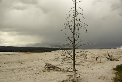 g1/87/808087/3/115230585.TKdV4IB1.jpg