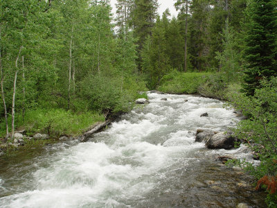 g1/87/808087/3/115230624.6j4cTJta.jpg