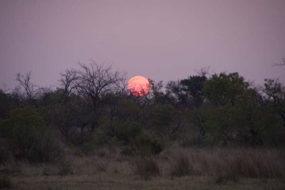 African Sunset