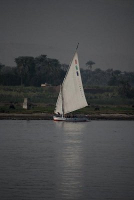 Felucca sailing boat on the Nile River